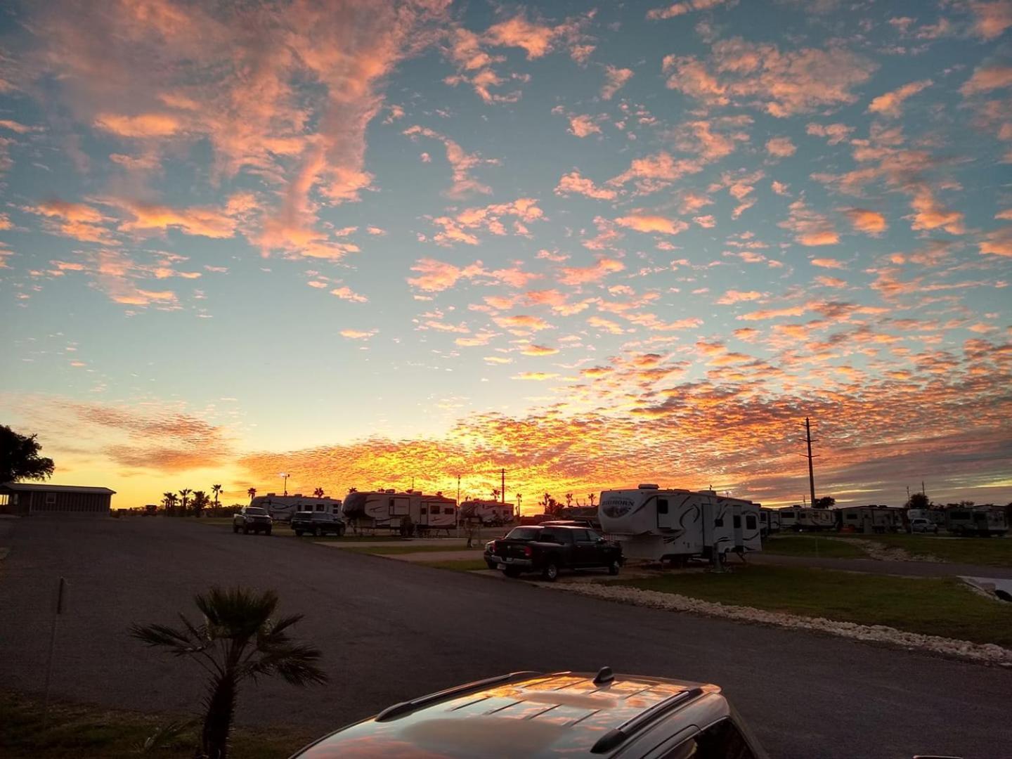 Rivercity Rv Park New Braunfels Eksteriør billede